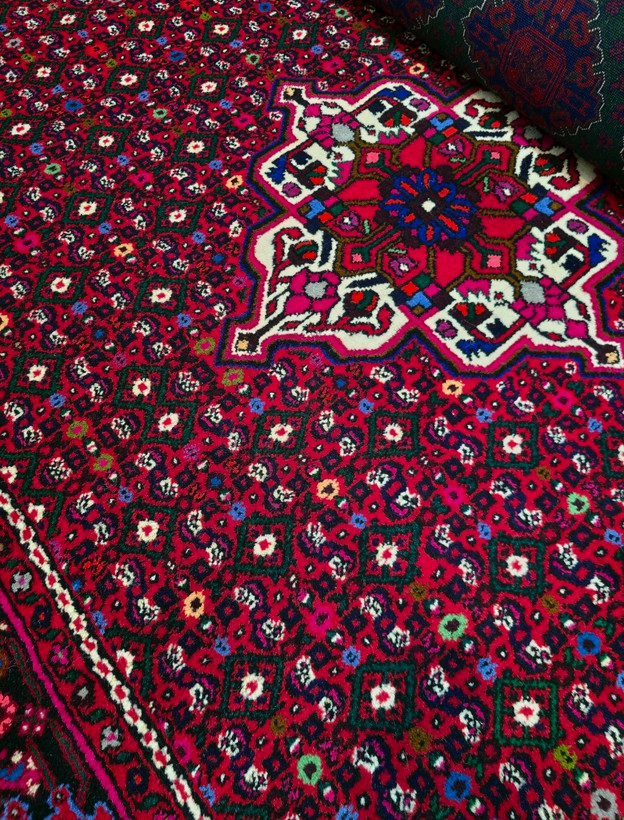 فرش دستباف شش متری نقشه ماهی همدان حسین آباد ازندریان